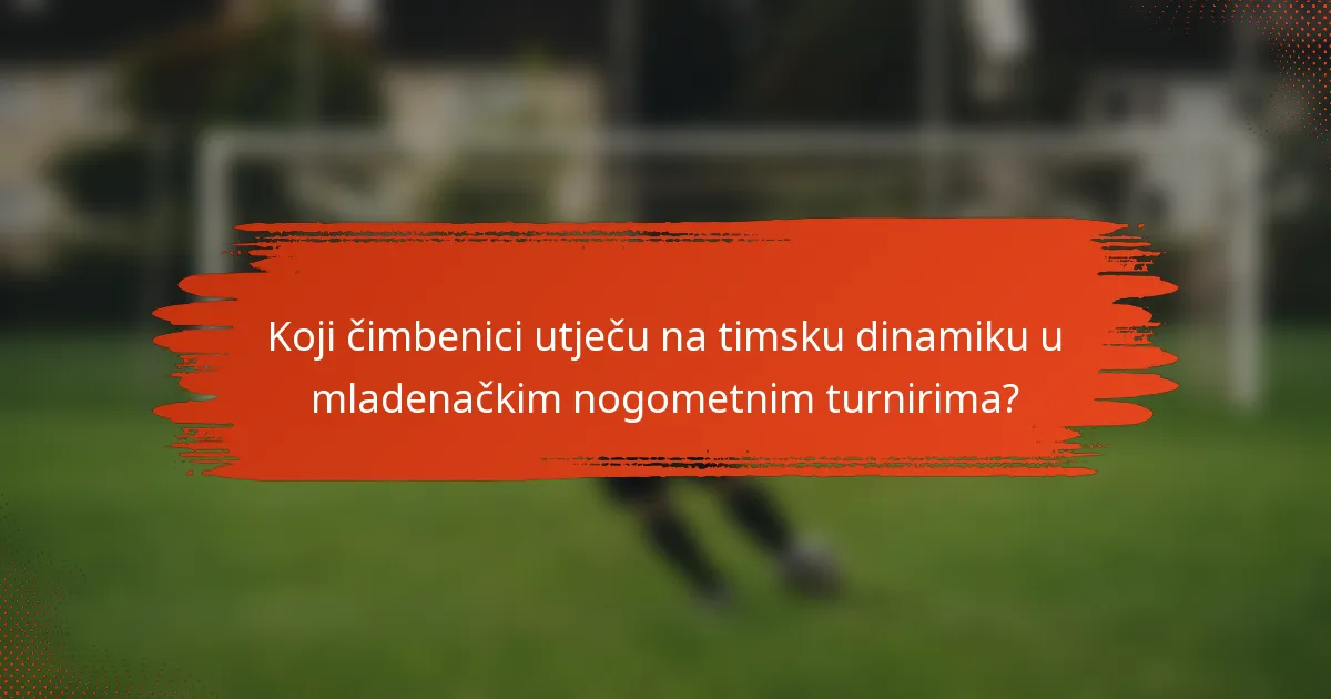 Koji čimbenici utječu na timsku dinamiku u mladenačkim nogometnim turnirima?